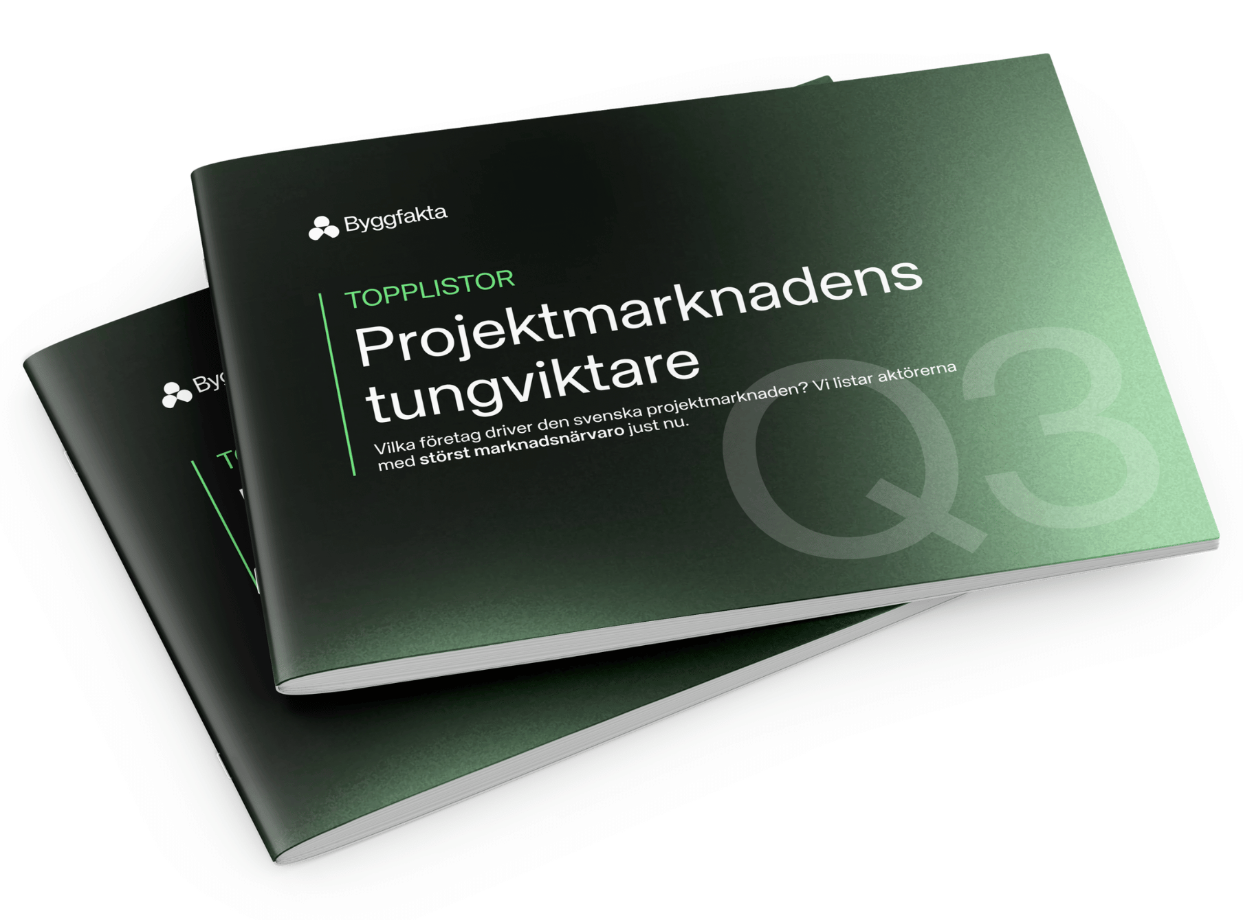 Projektmarknades_tungviktare