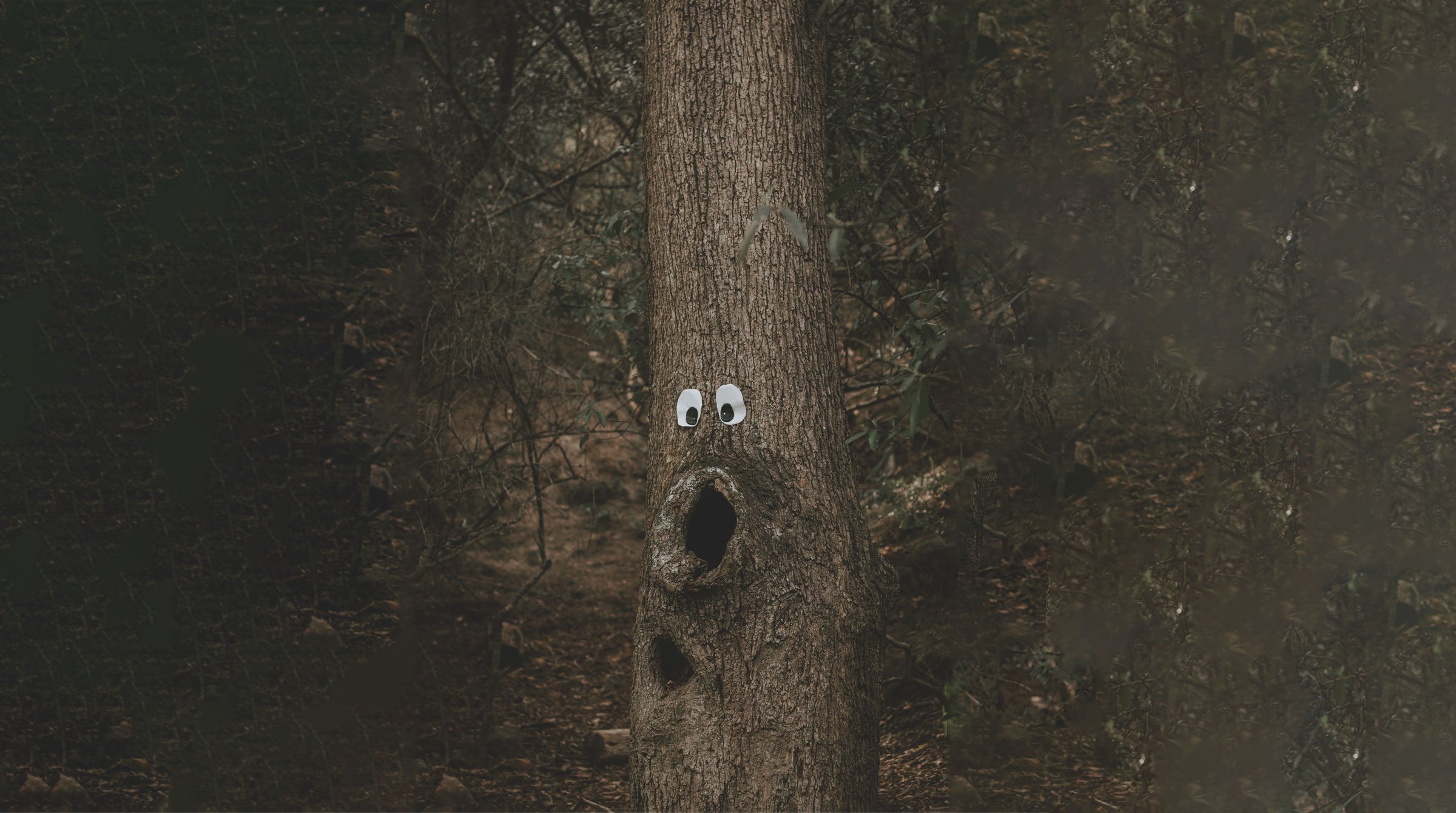 SE_BF_Tree