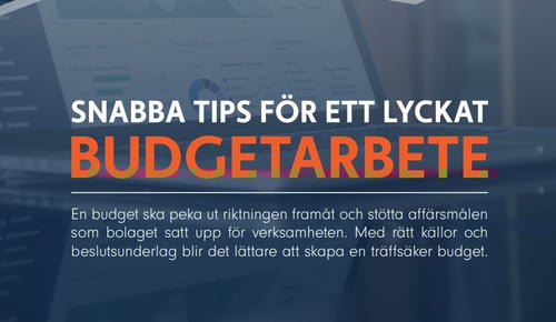 lyckat budgetarbete